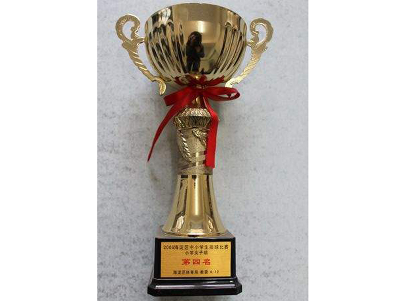 奖杯 (3)副本.jpg
