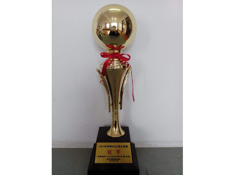 奖杯 (2)副本.jpg